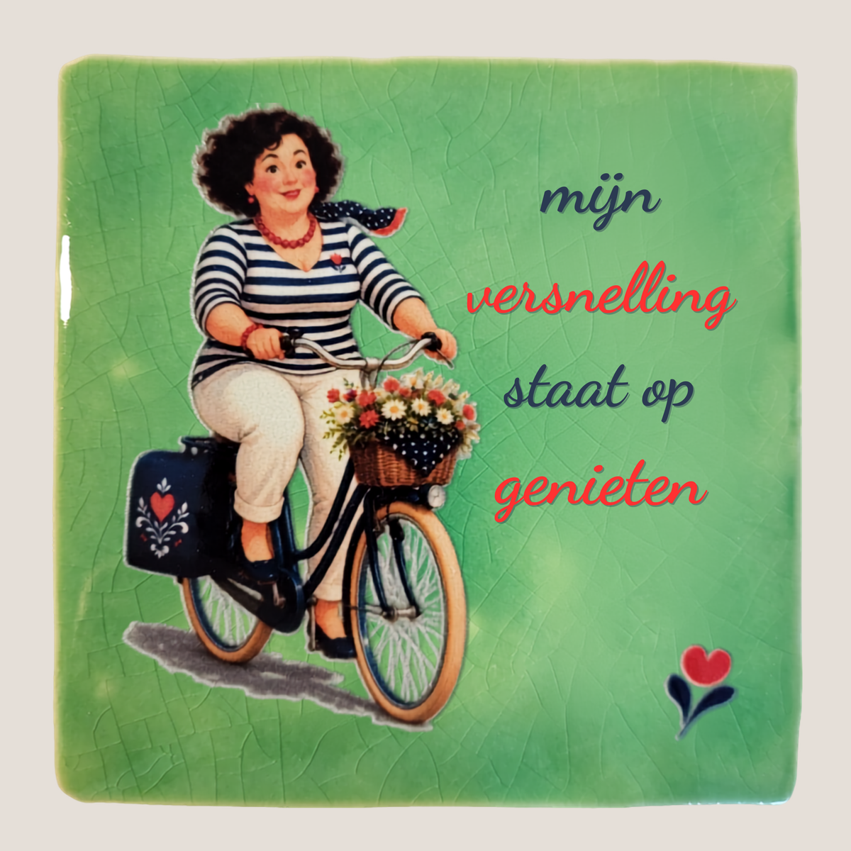 Keramisch tegeltje van De Dametjes van Fryslân op een fiets met bloemenmand en de quote 'Mijn versnelling staat op genieten'.