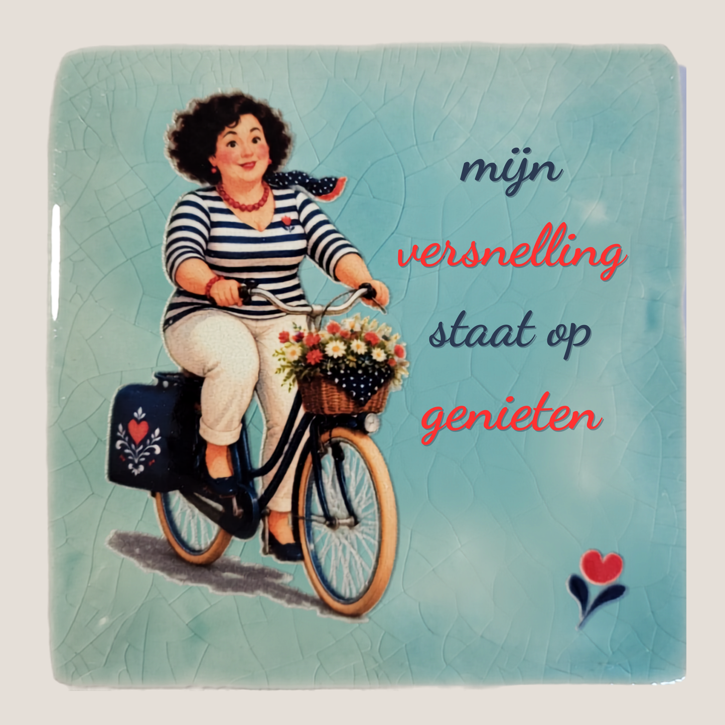Keramisch tegeltje van De Dametjes van Fryslân op een fiets met bloemenmand en de quote 'Mijn versnelling staat op genieten'.