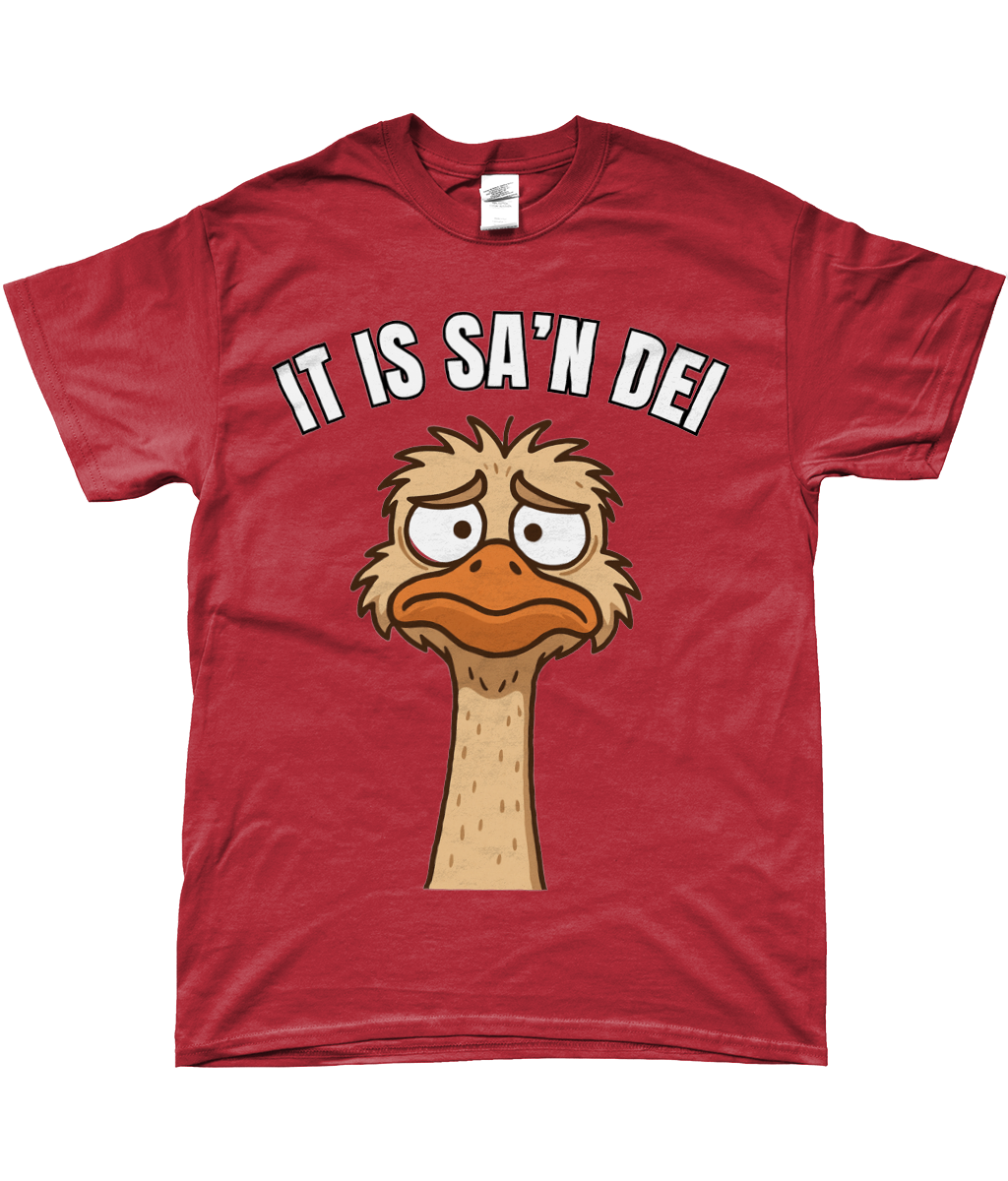 T-shirt met cartoon struisvogel en Friese tekst “It is sa’n dei” – grappig Fries design