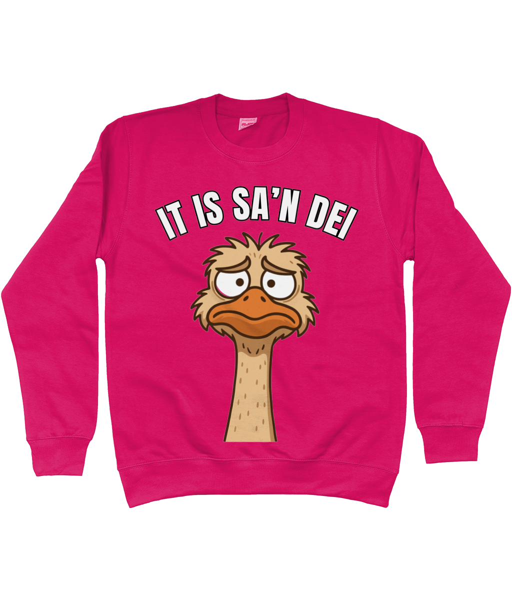 Sweater met cartoon struisvogel en Friese tekst “It is sa’n dei” – humoristisch Fries design