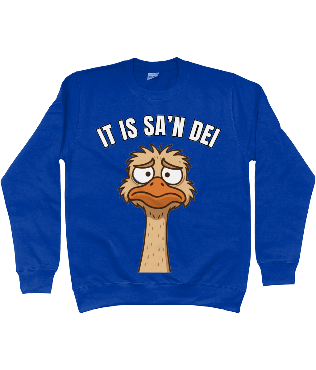Sweater met cartoon struisvogel en Friese tekst “It is sa’n dei” – humoristisch Fries design