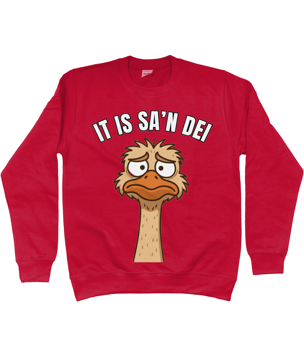 Sweater met cartoon struisvogel en Friese tekst “It is sa’n dei” – humoristisch Fries design