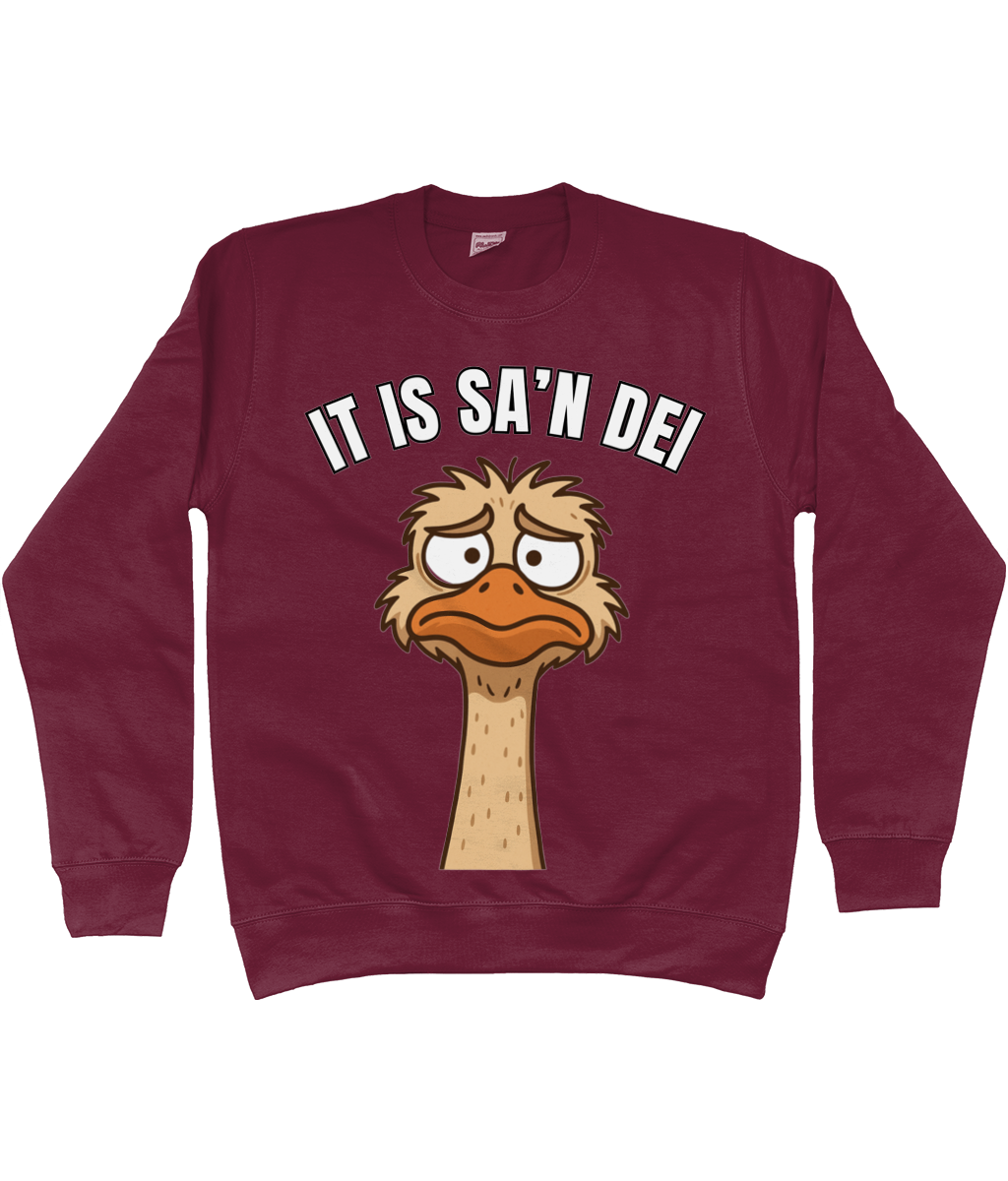 Sweater met cartoon struisvogel en Friese tekst “It is sa’n dei” – humoristisch Fries design