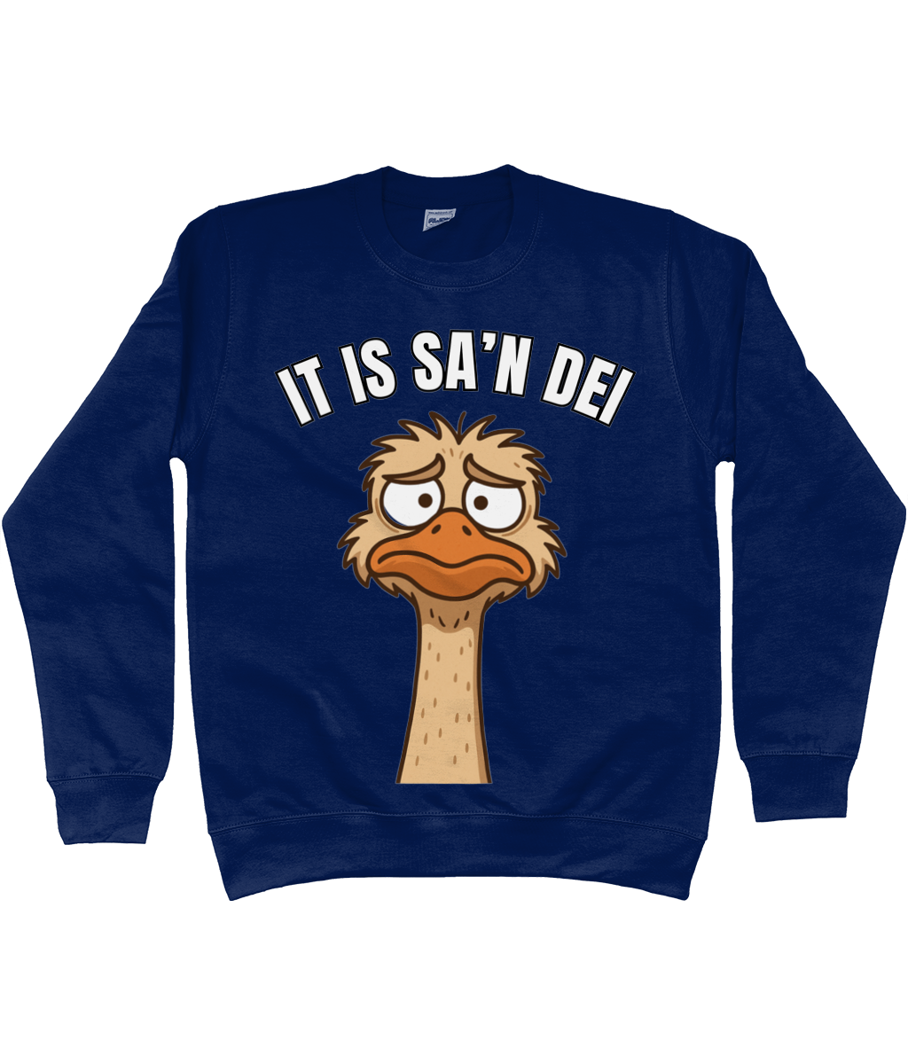 Sweater met cartoon struisvogel en Friese tekst “It is sa’n dei” – humoristisch Fries design