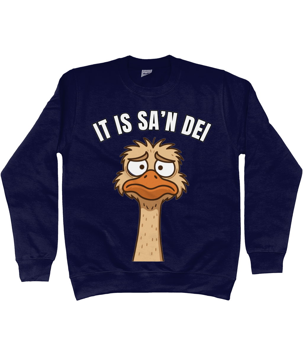 Sweater met cartoon struisvogel en Friese tekst “It is sa’n dei” – humoristisch Fries design