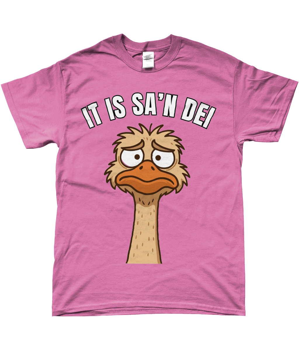 T-shirt met cartoon struisvogel en Friesoe tekst “It is sa’n dei” – grappig Fries design