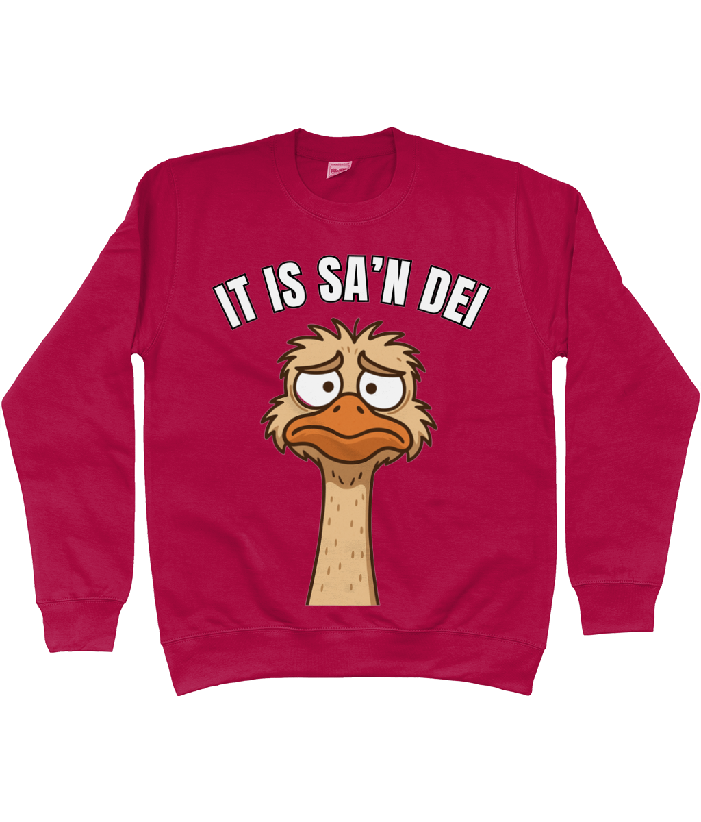 Sweater met cartoon struisvogel en Friese tekst “It is sa’n dei” – humoristisch Fries design