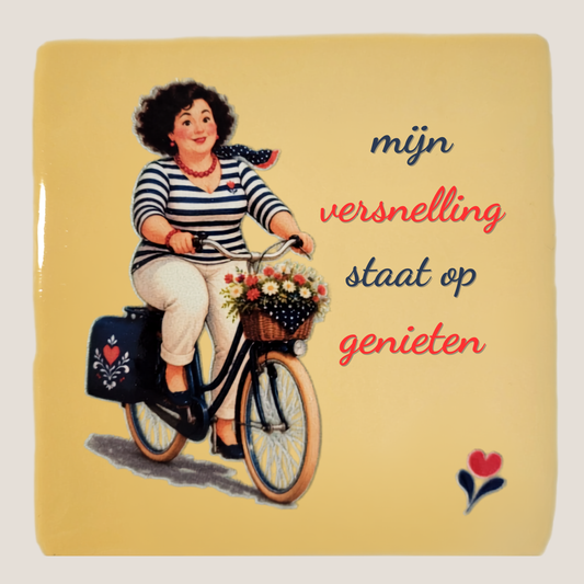 Keramisch tegeltje van De Dametjes van Fryslân op een fiets met bloemenmand en de quote 'Mijn versnelling staat op genieten'.
