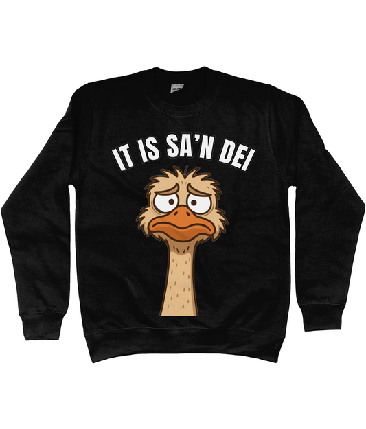 Sweater met cartoon struisvogel en Friese tekst “It is sa’n dei” – humoristisch Fries design