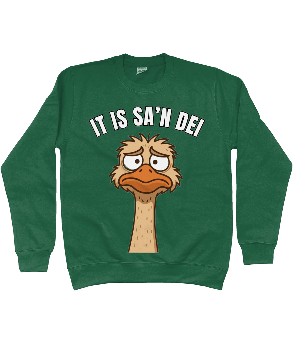 Sweater met cartoon struisvogel en Friese tekst “It is sa’n dei” – humoristisch Fries design